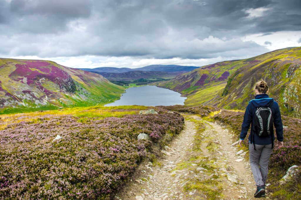Scottish walking