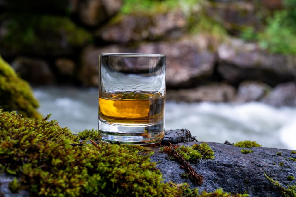 Why Choose an Invergordon Shore Excursion?