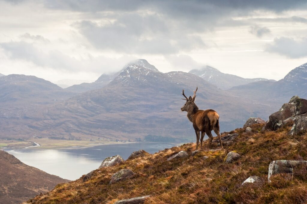 Torridon Scotland